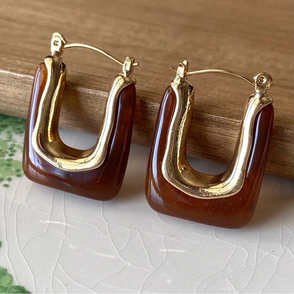 ✨ Zara Elise Cubic Earrings in Coffee